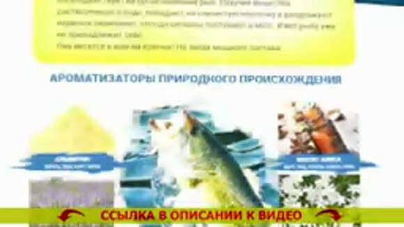 Лучшая прикормка для окуня летом своими руками в домашних условиях