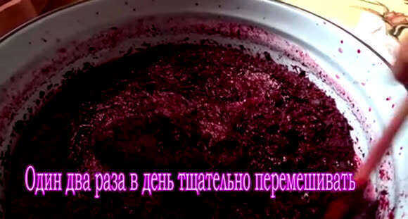 Вкусный рецепт домашнего вина из черной смородины фото 4