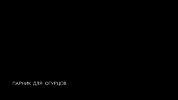 Лучшие парники для огурцов: секреты выбора и установки фото 1