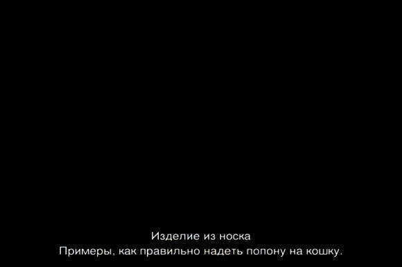Как правильно надеть попону на кота: пошаговая инструкция для хозяев фото 6