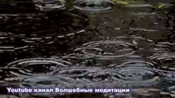 Техника исполнения желаний стакан воды Вадим Зеланд фото 3