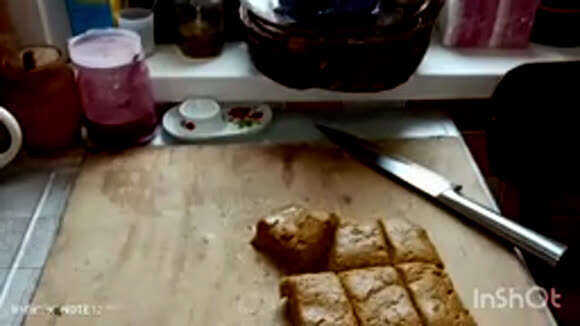Как приготовить белковую подкормку для пчел своими руками
