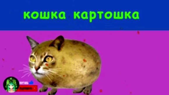 Новые песни про мышку сосиску хабиб ягода малинка пародия фото 2