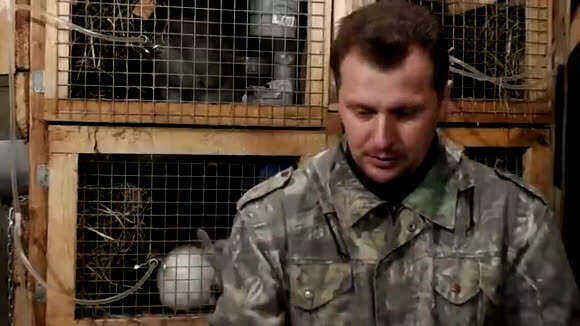 Бункерная кормушка для кроликов своими руками дешево фото 3
