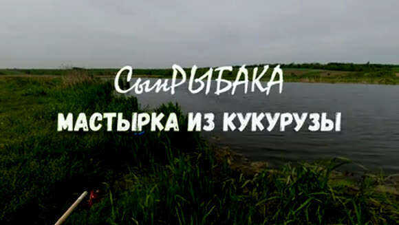 Кукурузная мастырка убойная насадка для карпа карася и мирной рыбы фото 1