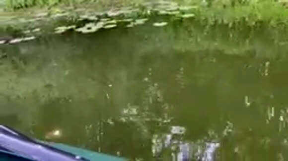 Ловля щуки на кружки летом: отзыв и тест Azor Fishing