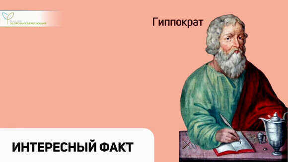 Ежедневное употребление прополиса: польза для здоровья и иммунитета
