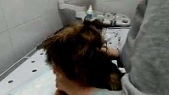 Прививки бивер и йоркширскому терьеру: полный график вакцинации щенков фото 3