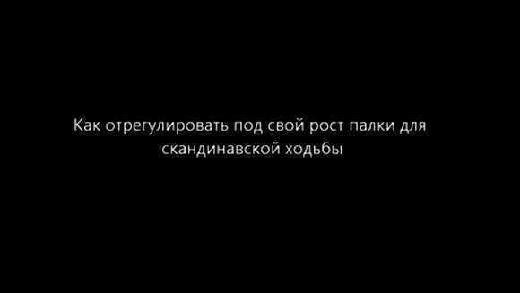 Как правильно выбрать длину палок для скандинавской ходьбы по росту фото 1