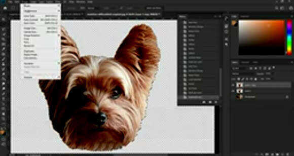 Создание стикера из фотографии в Photoshop: полный гайд