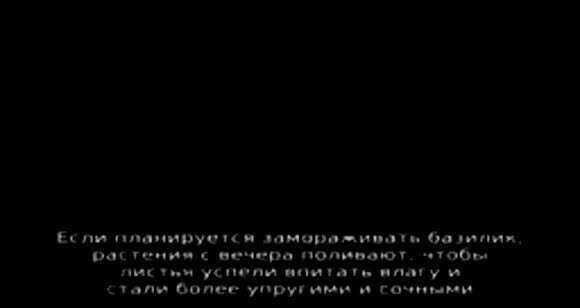7 лучших способов сохранить базилик свежим на всю зиму фото 2