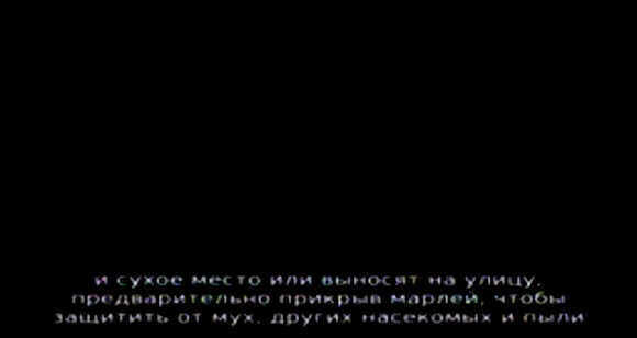 7 лучших способов сохранить базилик свежим на всю зиму фото 4