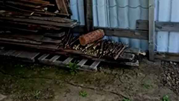 Что сделать из старого бревна: гениальные идеи декора фото 1