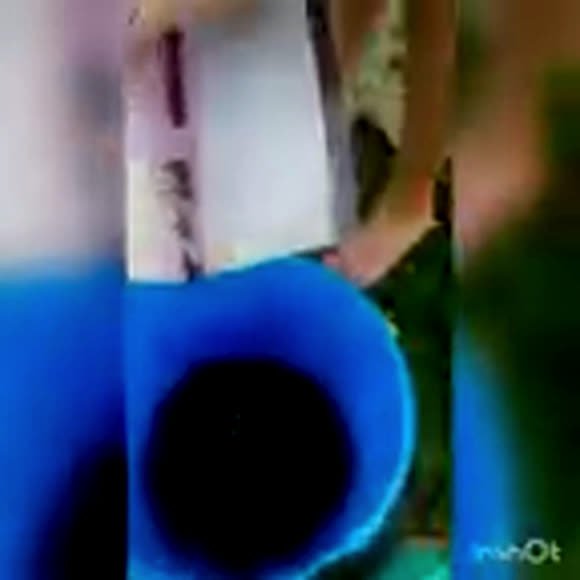 Как сделать комбайн для черники и заготовить ягоду фото 6