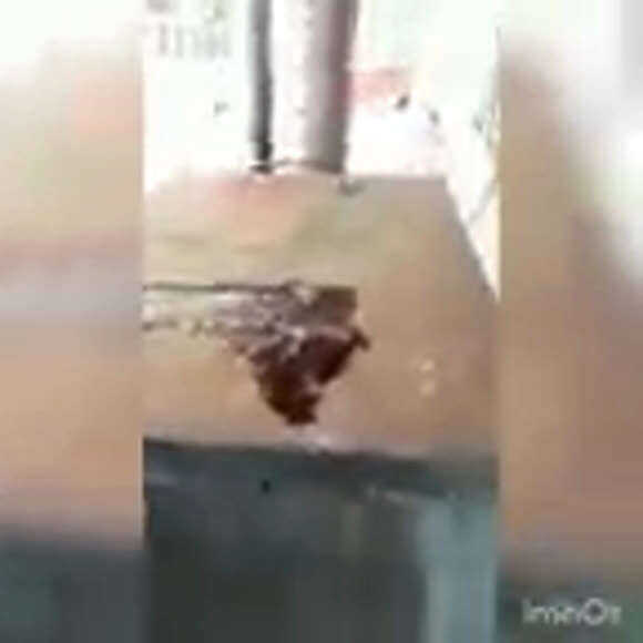 Как приготовить щуку горячего копчения на ольховой щепе