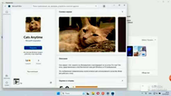Как установить обои на рабочий стол Windows 11