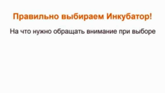 Лучшие инкубаторы для яиц: как выбрать домашний вариант фото 1