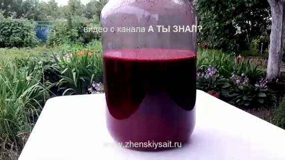 Как сделать самое вкусное домашнее вишневое вино: рецепт