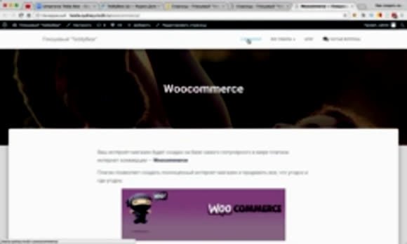 Как создать интернет-магазин на WordPress за один день