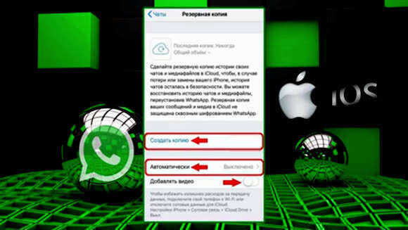 Как сделать резервную копию WhatsApp на iPhone: инструкция фото 6