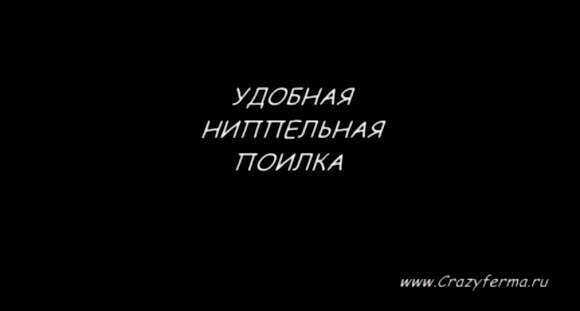 Профессиональная клетка для кур-несушек Crazy Fermasystem модель 312