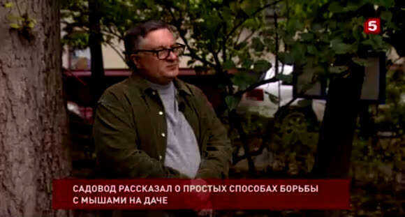 Как избавиться от мышей на даче: эффективные способы фото 2