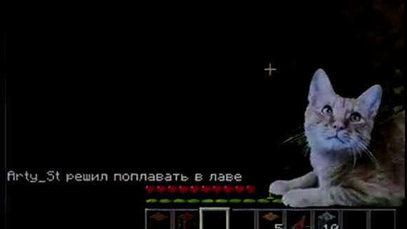 Как я учил Симбу играть в Майнкрафт: эпичный провал