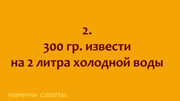Как использовать бордосскую жидкость для богатого урожая томатов