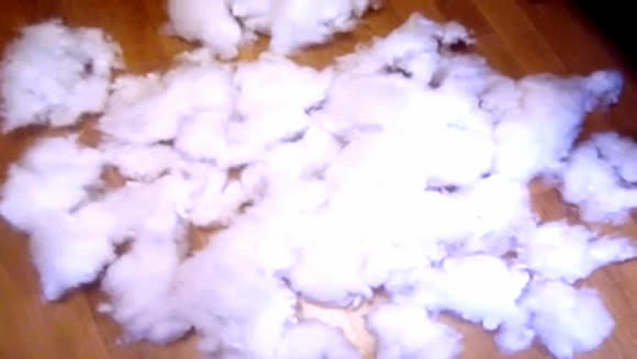 Как сделать лежанку для кота и собаки из свитера фото 2