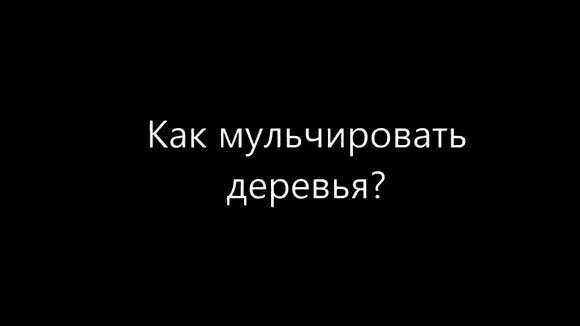 Как правильно мульчировать деревья в саду для здоровья и роста фото 1