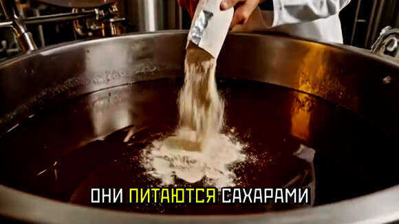 Полный цикл производства водки от зерна до бутылки фото 3