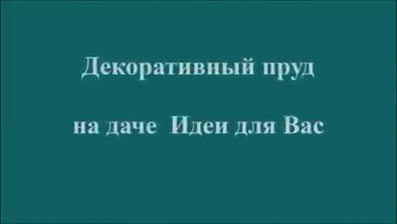 Идеи для создания декоративного пруда на дачном участке фото 1