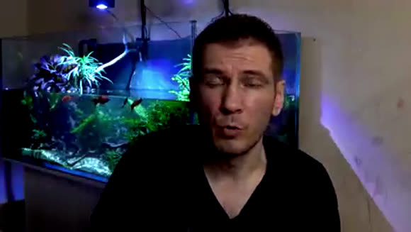 Как выбрать лучший фильтр для аквариума: полный гид фото 2