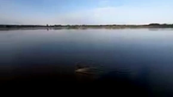 Тактика ловли карпа на бойлы и эксперименты с прикормкой фото 1